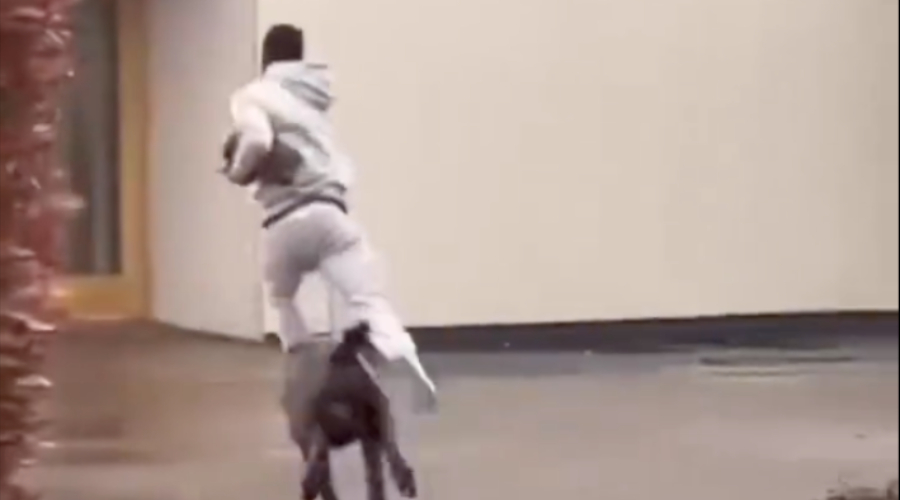 En vidéo, Cornet pourchassé par le chien d’Areola