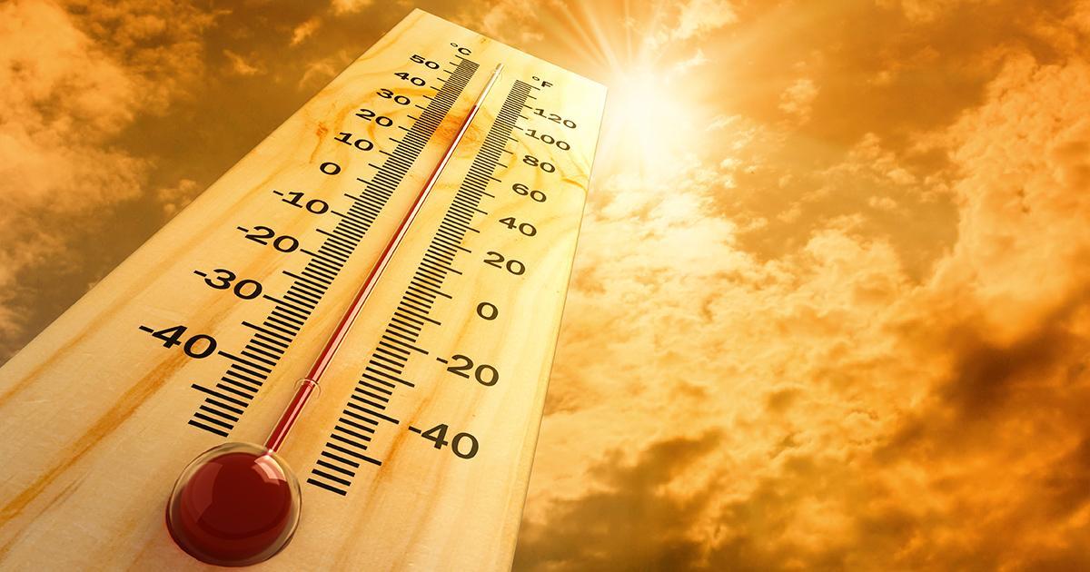 Chaleur en France : Des solutions écologiques pour un avenir plus frais