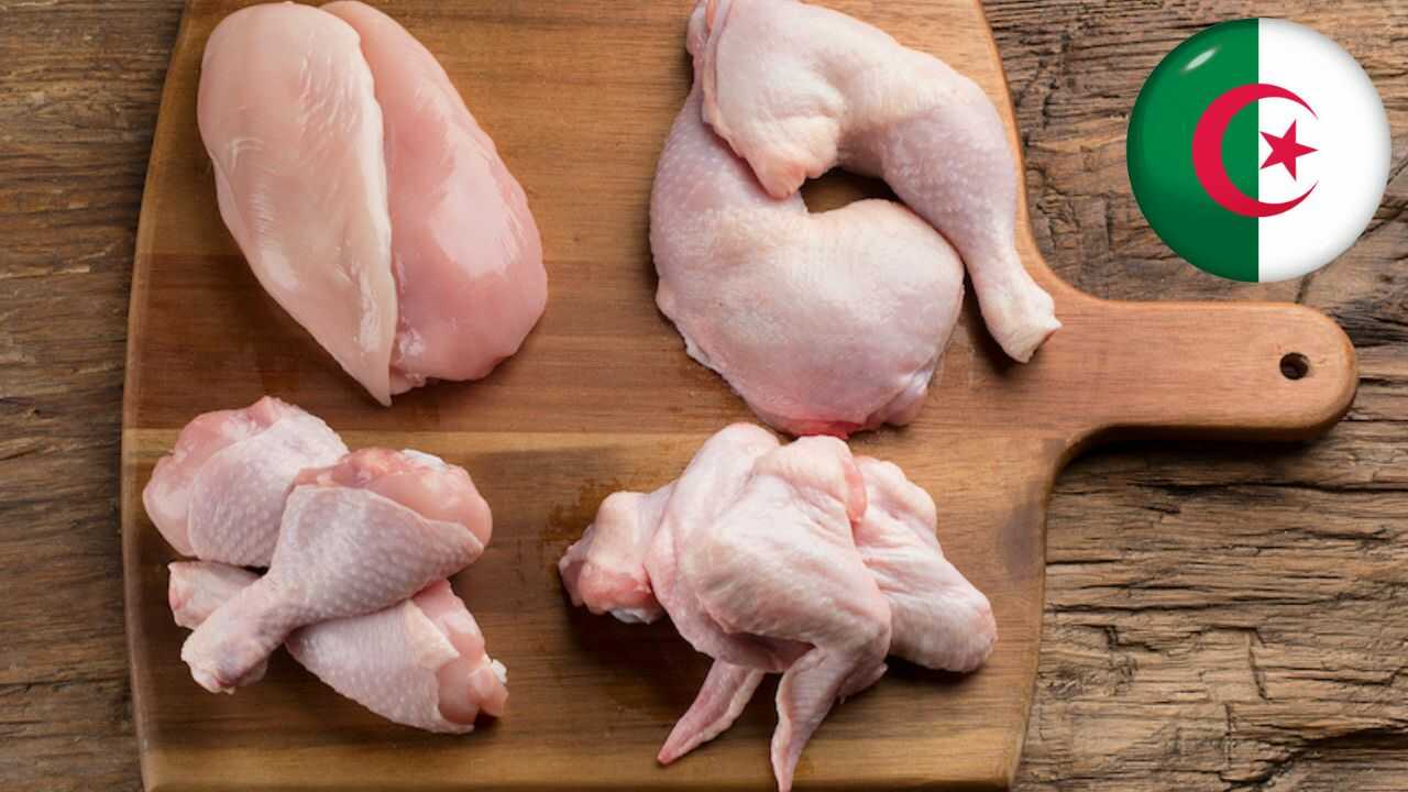 Poulet vert : une révolution avicole en Algérie