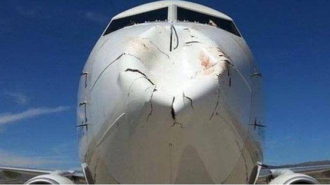 Collision aérienne spectaculaire : Un oiseau endommage un avion (vidéo)