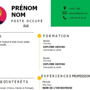 CV esthétique et attrayant à télécharger
