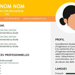 CV esthétique et attrayant à télécharger