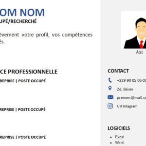 CV attrayant adapté pour toutes vos candidatures professionnelles : recherche d’emploi , de stage ou de job . Téléchargez-le . Modèle de CV téléchargeable et modifiable en version Microsoft Office Word. CV esthétique et attrayant à télécharger