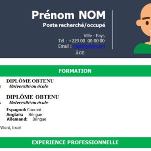 CV esthétique et attrayant à télécharger