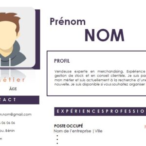 CV esthétique et attrayant à télécharger