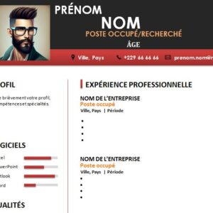 CV esthétique et attrayant à télécharger