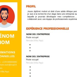 CV esthétique et attrayant à télécharger