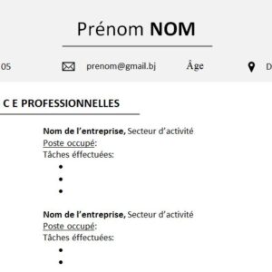 CV esthétique et attrayant à télécharger
