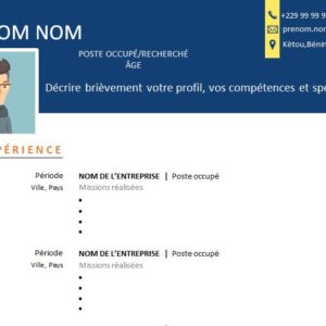 CV esthétique et attrayant à télécharger