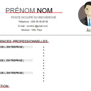 CV esthétique et attrayant à télécharger