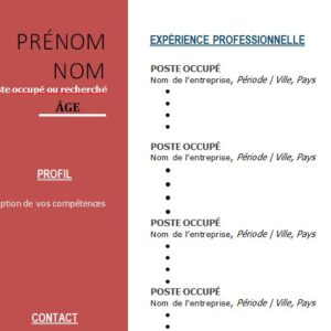 CV esthétique et attrayant à télécharger