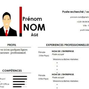 CV esthétique et attrayant à télécharger
