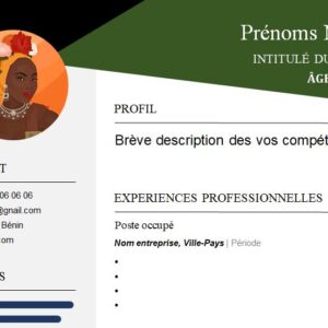 CV esthétique et attrayant à télécharger