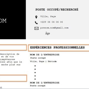 CV esthétique et attrayant à télécharger