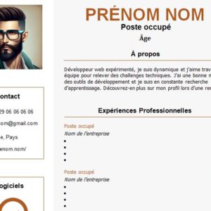 CV esthétique et attrayant à télécharger