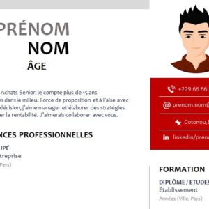 CV esthétique et attrayant à télécharger