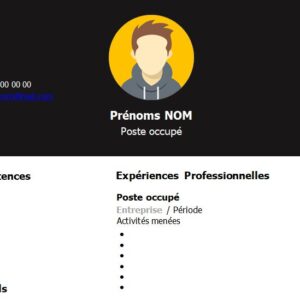 CV esthétique et attrayant à télécharger